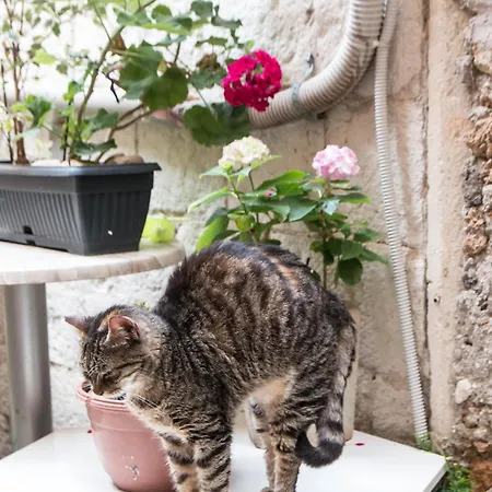 דירה Ella La Bella Ii Old Town